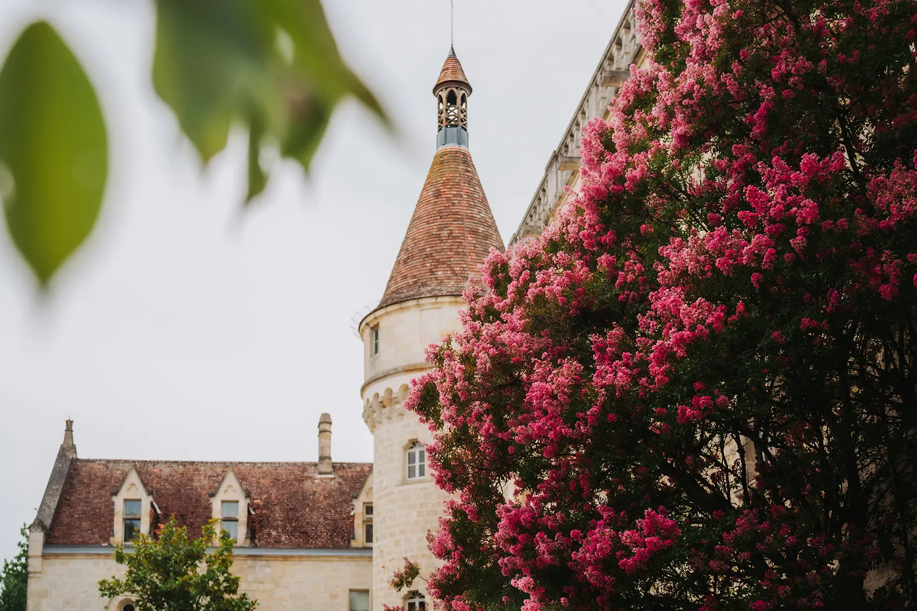 Aurélie & Jérémy 75 Tour du château de Grignols bordée par un grand arbre en fleurs roses