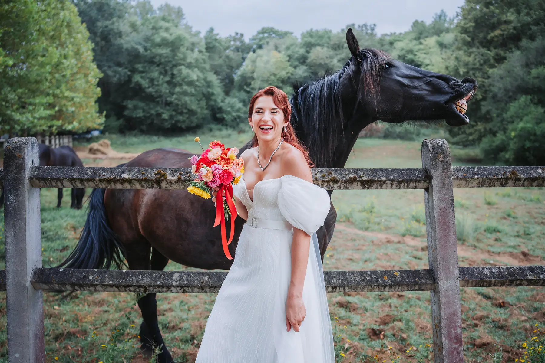 Aurélie & Jérémy 95 Mariée en robe blanche riant aux côtés d'un cheval noir faisant une grimace amusante