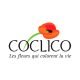 Coclico Véronique Hendaye